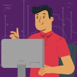 Software Developer